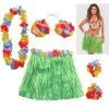 Adult Faux Grass Skirt Kit, 5pc -Party Themes Sales 215391