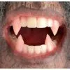 Custom Designer Werewolf Fangs 1 Custom Designer Werewolf Fangs -Party Themes Sales 393396