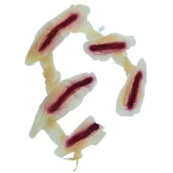 Face Cuts Prosthetics 5 Face Cuts Prosthetics -Party Themes Sales 60051 01