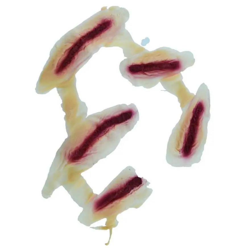 Face Cuts Prosthetics 4 Face Cuts Prosthetics - Image 2