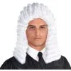 AMSCAN Judge Wig -Party Themes Sales 793219