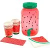 SUNNYLIFE LLC Watermelon Drink Dispenser Kit