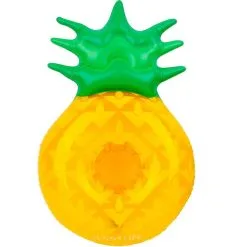 SUNNYLIFE LLC Pineapple & Watermelon Drink Floats 2ct -Party Themes Sales 812073 02
