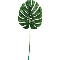 Green Palm Leaf Decoration