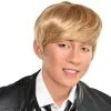 K-Pop Boy Band Wig 1 K-Pop Boy Band Wig -Party Themes Sales 890311