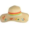 Multicolor Sunny Side Up Wide-Brim Floppy Straw Hat For Adults, One Size -Party Themes Sales 912657