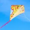Diamond Pizza Kite, 22in X 23in -Party Themes Sales 912826