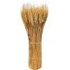 Dried Wheat Bundle Decoration, 20in 1 Dried Wheat Bundle Decoration, 20in -Party Themes Sales 942253
