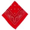Red Paisley Bandana, 20in X 20in 1 Red Paisley Bandana, 20in X 20in -Party Themes Sales C30842 red