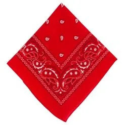 Red Paisley Bandana, 20in X 20in