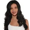 Black Long Glam Wig 1 Black Long Glam Wig -Party Themes Sales C910632 black