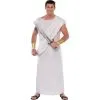 Adult Toga Costume 2 Adult Toga Costume -Party Themes Sales P278971