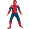 Boys Classic Spider-Man Muscle Costume -Party Themes Sales P484988
