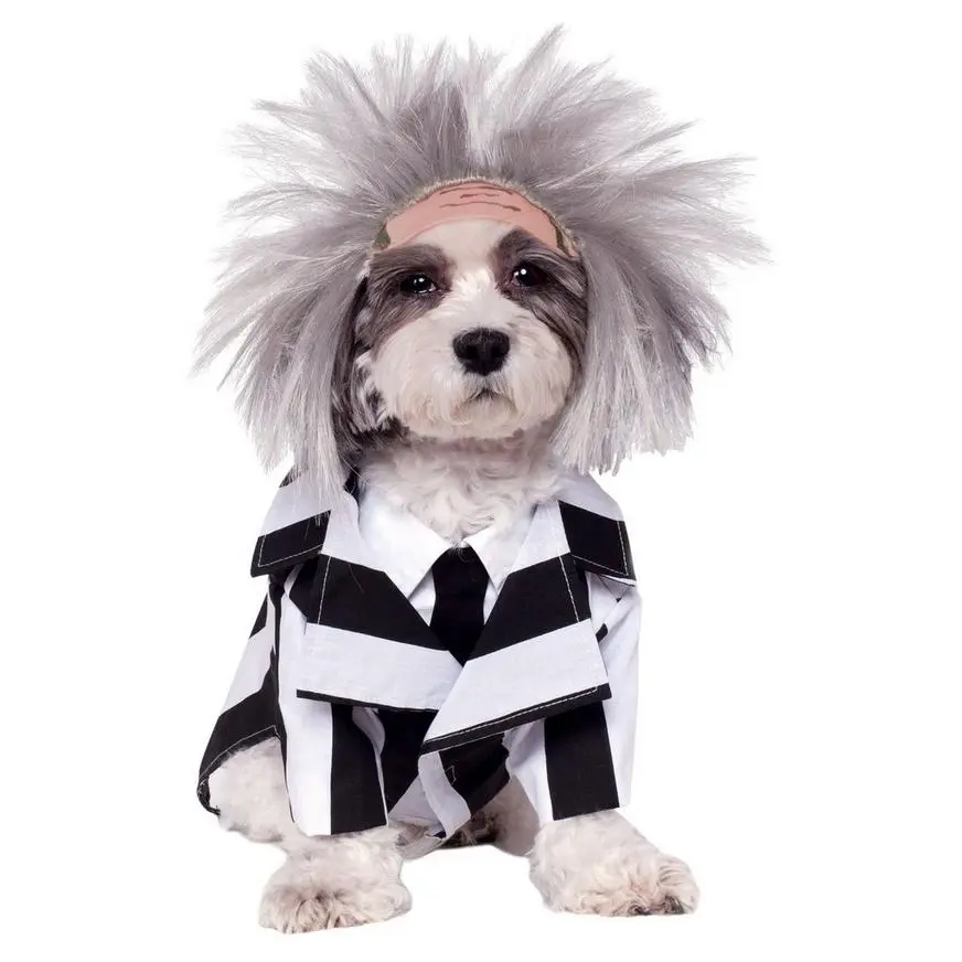 Beetlejuice Dog Costume 3 Beetlejuice Dog Costume
