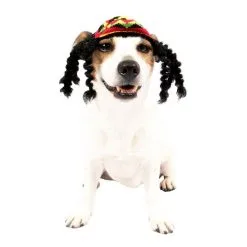 Rasta Dog Costume