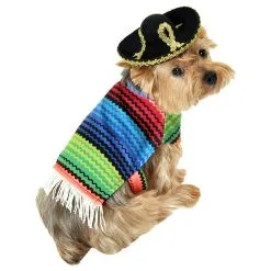 MISSION PETS INC Amigo Dog Costume