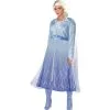 AMSCAN Adult Act 2 Elsa Costume Plus Size - Frozen 2 -Party Themes Sales P842815
