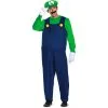 Disguise Limited Adult Luigi Costume - Super Mario Brothers -Party Themes Sales P842929