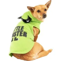 Green Little Monster Dog Hoodie With Horns