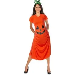 ALMAR SALES COMPANY INC Adult Pumpkin Maternity Costume