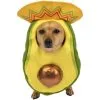 Avocado Sombrero Costume For Dogs -Party Themes Sales P890643