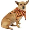 Halloween Pumpkin Jester Collar For Dogs -Party Themes Sales P923017