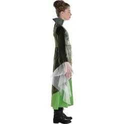 AMSCAN Kids' Winifred Sanderson Costume - Disney Hocus Pocus -Party Themes Sales P941331 04