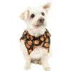 Party City Black & Orange Jack-o'-Lantern Dog Scrunchie Collar