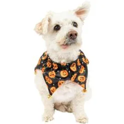 Party City Black & Orange Jack-o'-Lantern Dog Scrunchie Collar