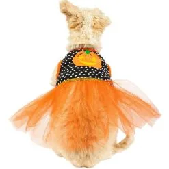 Party City Black & Orange Dot Jack-o'-Lantern Dog Tutu Dress