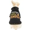 Party City Mommy's Little Pumpkin Dog Hoodie -Party Themes Sales P943184