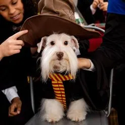 Party City Gryffindor Dog Hoodie Costume - Harry Potter -Party Themes Sales P947328 05